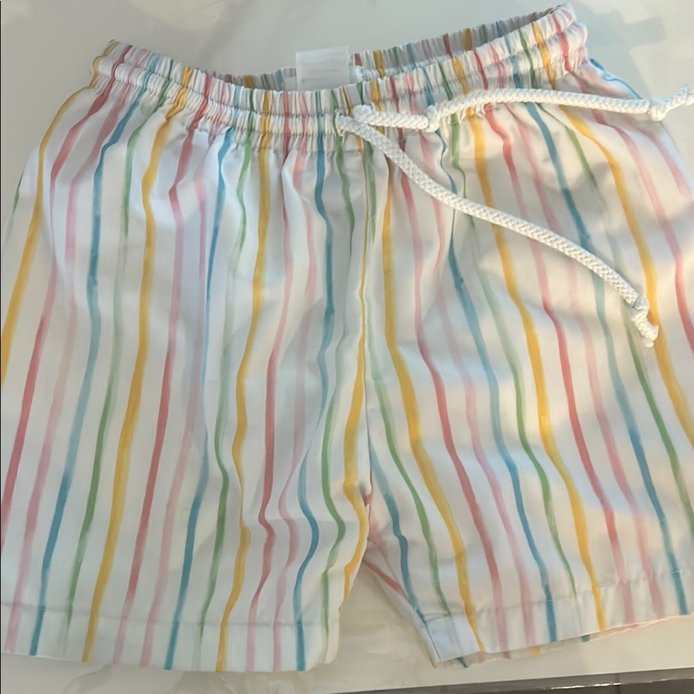 Elizabeth and James Kids Swim Trunks - Multicolor Stripes